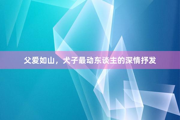 父爱如山，犬子最动东谈主的深情抒发